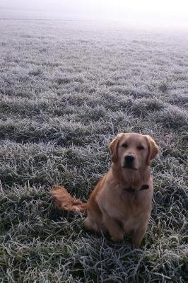 Book cover for Golden Retriever in a Frosty Meadow Journal