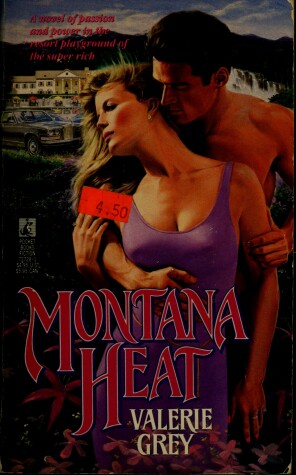Book cover for Montana Heat