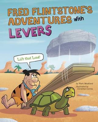 Book cover for Levers