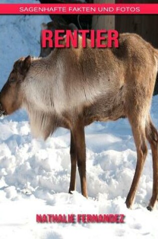 Cover of Rentier