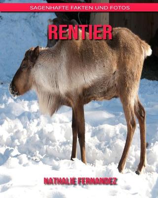 Book cover for Rentier