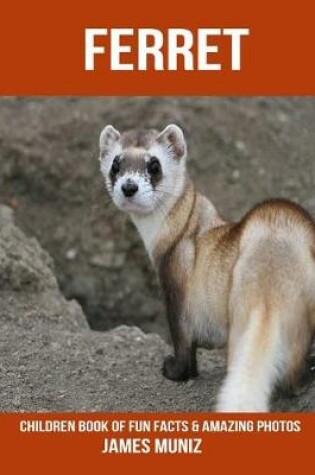 Cover of Ferret