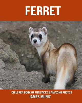 Book cover for Ferret