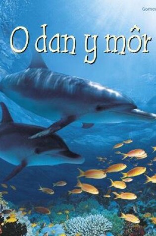 Cover of Cyfres Dechrau Da: O dan y Môr