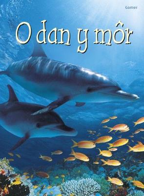 Book cover for Cyfres Dechrau Da: O dan y Môr