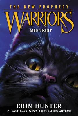 Cover of Midnight