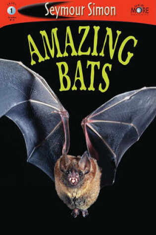 Cover of Amazing Bats
