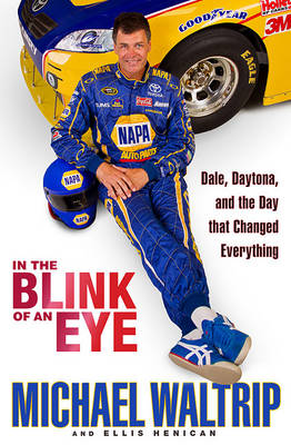 Book cover for In the Blink of an Eye