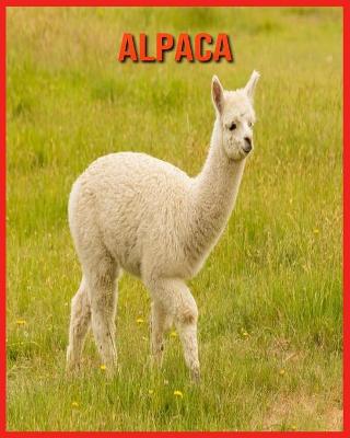 Book cover for Alpaca