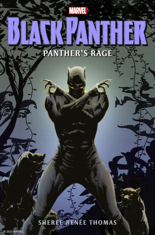 Cover of Black Panther: Panther's Rage