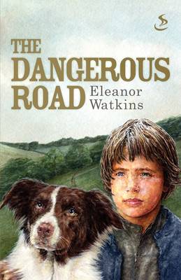 Book cover for The Dangerous Road
