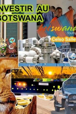 Cover of INVESTIR AU BOTSWANA - Visit Botswana - Celso Salles