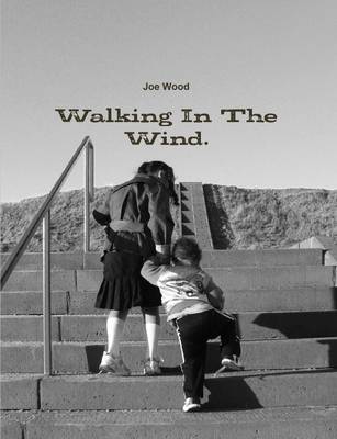 Book cover for Walking In The Wind.