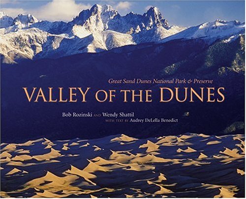 Book cover for Valley of the Dunes