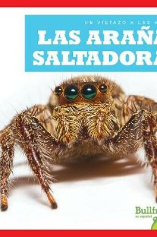 Cover of Las Aranas Saltadoras (Jumping Spiders)