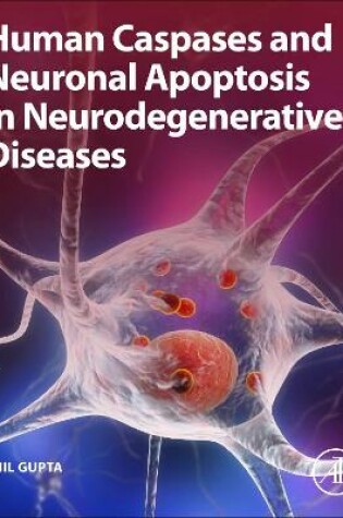 Cover of Human Caspases and Neuronal Apoptosis in Neurodegenerative Diseases