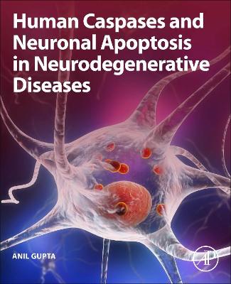 Book cover for Human Caspases and Neuronal Apoptosis in Neurodegenerative Diseases