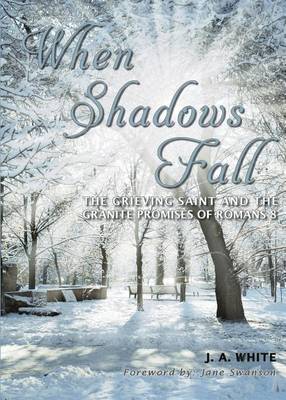 Book cover for When Shadows Fall