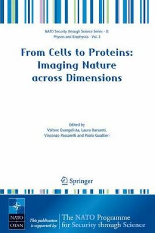 Cover of From Cells to Proteins