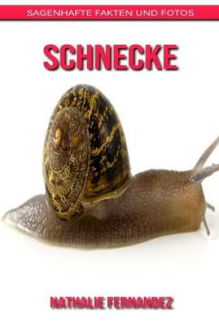 Cover of Schnecke