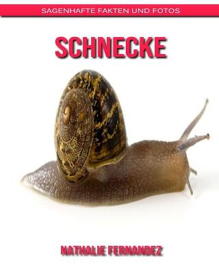 Book cover for Schnecke