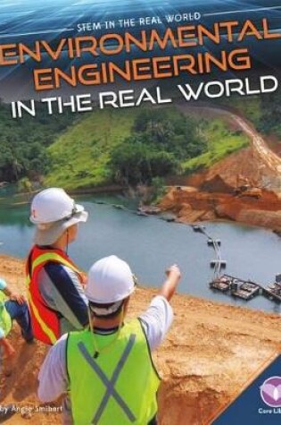 Cover of Environmental Engineering in the Real World