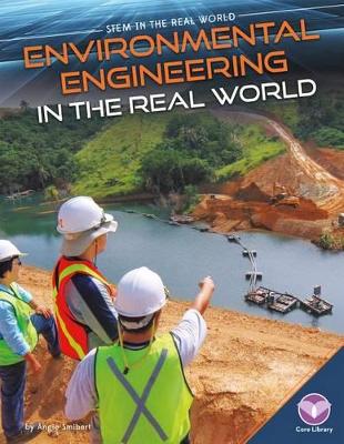 Book cover for Environmental Engineering in the Real World