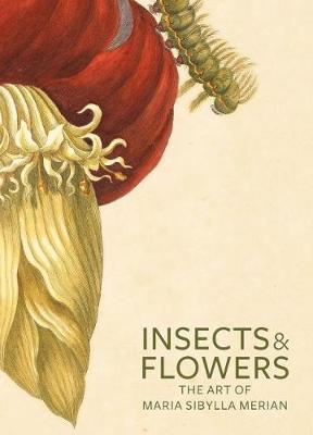 Book cover for Insects and Flowers – The Art of Maria Sibylla Merian