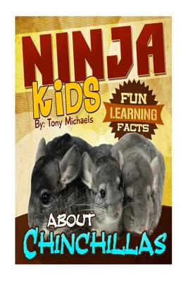 Book cover for Fun Learning Facts about Chinchillas