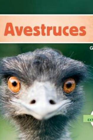 Cover of Avestruces (Ostriches )