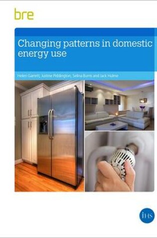 Cover of Changing patterns in domestic energy use