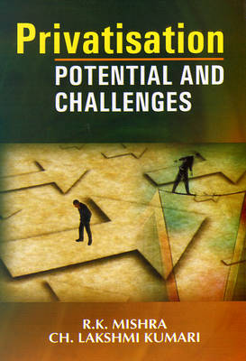 Book cover for Privatisation Potential and Challenges