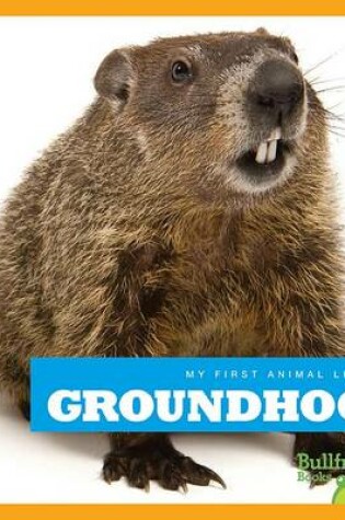 Cover of Groundhogs