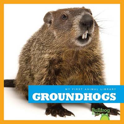 Cover of Groundhogs