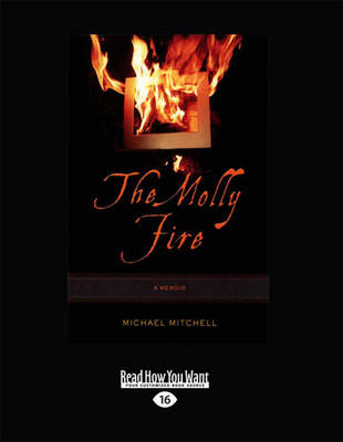 Book cover for The Molly Fire