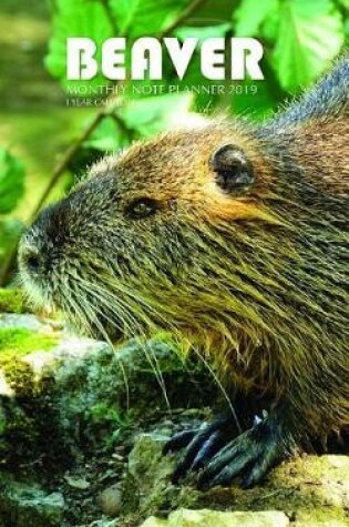 Cover of Beaver Monthly Note Planner 2019 1 Year Calendar