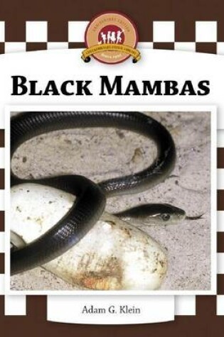 Cover of Black Mambas