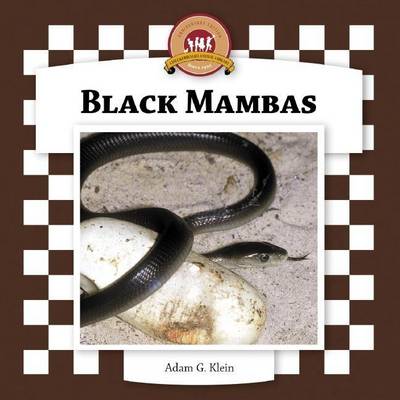 Cover of Black Mambas
