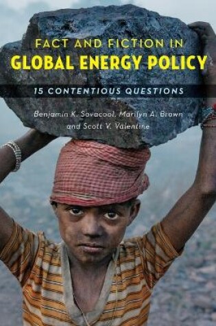 Cover of Fact and Fiction in Global Energy Policy