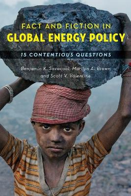 Book cover for Fact and Fiction in Global Energy Policy