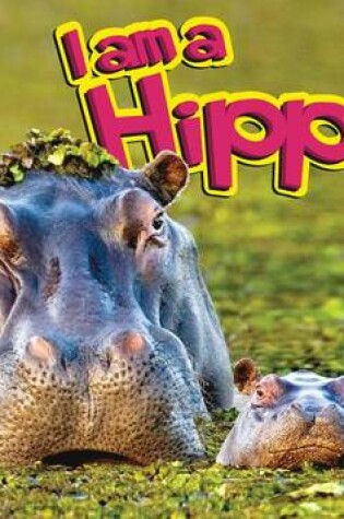 Cover of I Am a Hippo