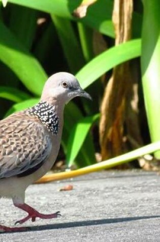 Cover of Dancing Spotted Dove Notebook