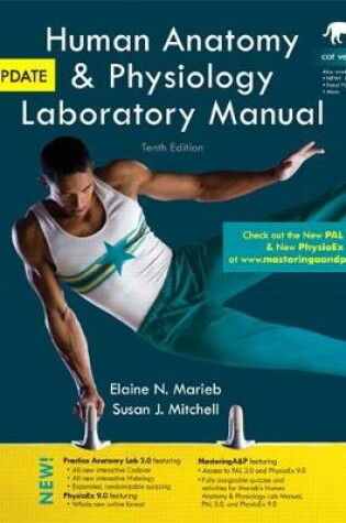 Cover of Human Anatomy & Physiology Laboratory Manual, Cat Version, Update (2-downloads)