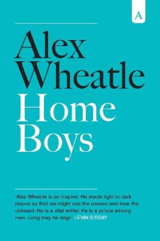 Cover of Home Boys
