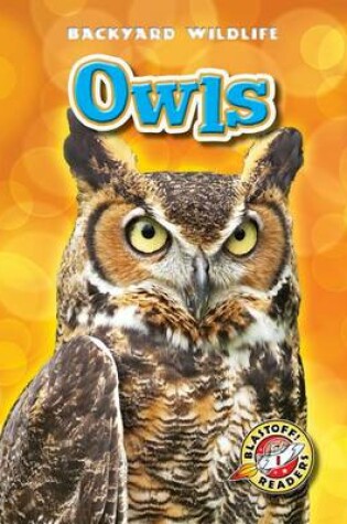 Cover of Owls