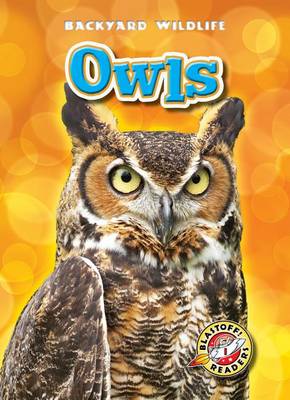 Book cover for Owls