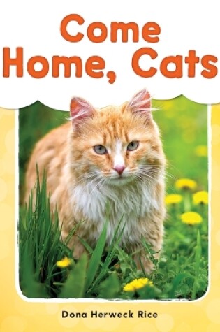 Cover of Come Home, Cats