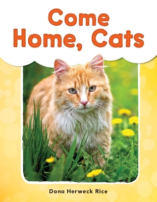 Book cover for Come Home, Cats