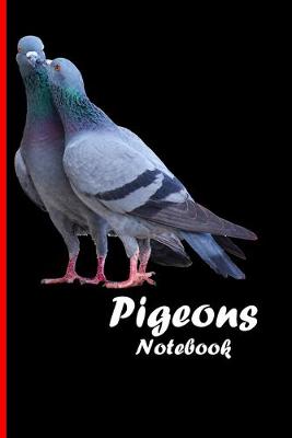 Book cover for Pigeons Notebook