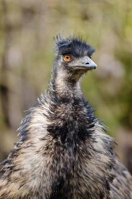 Book cover for A Proud Emu Journal